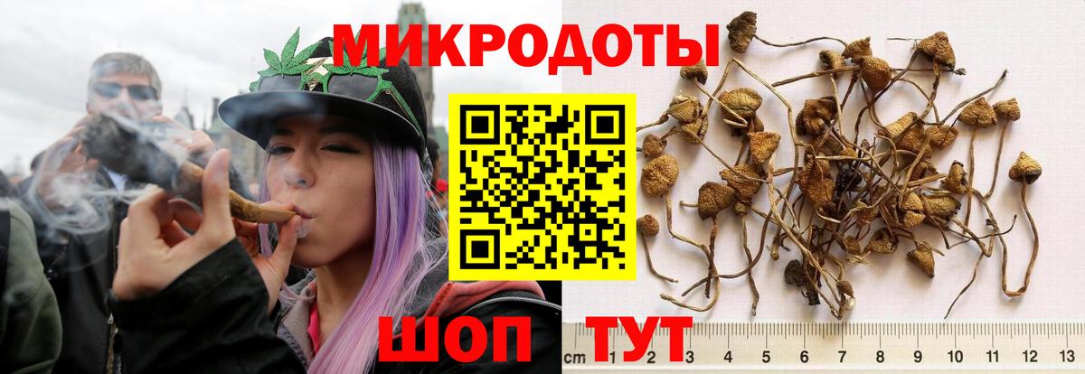 Псилоцибиновые грибы Magic Shrooms  Галлюциногенные грибы MAGIC MUSHROOMS  Вход с VPN  Карасук 